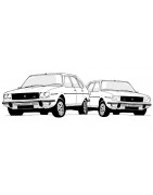 Toutes les pièces à vendre pour renault 20 ou Renault 30